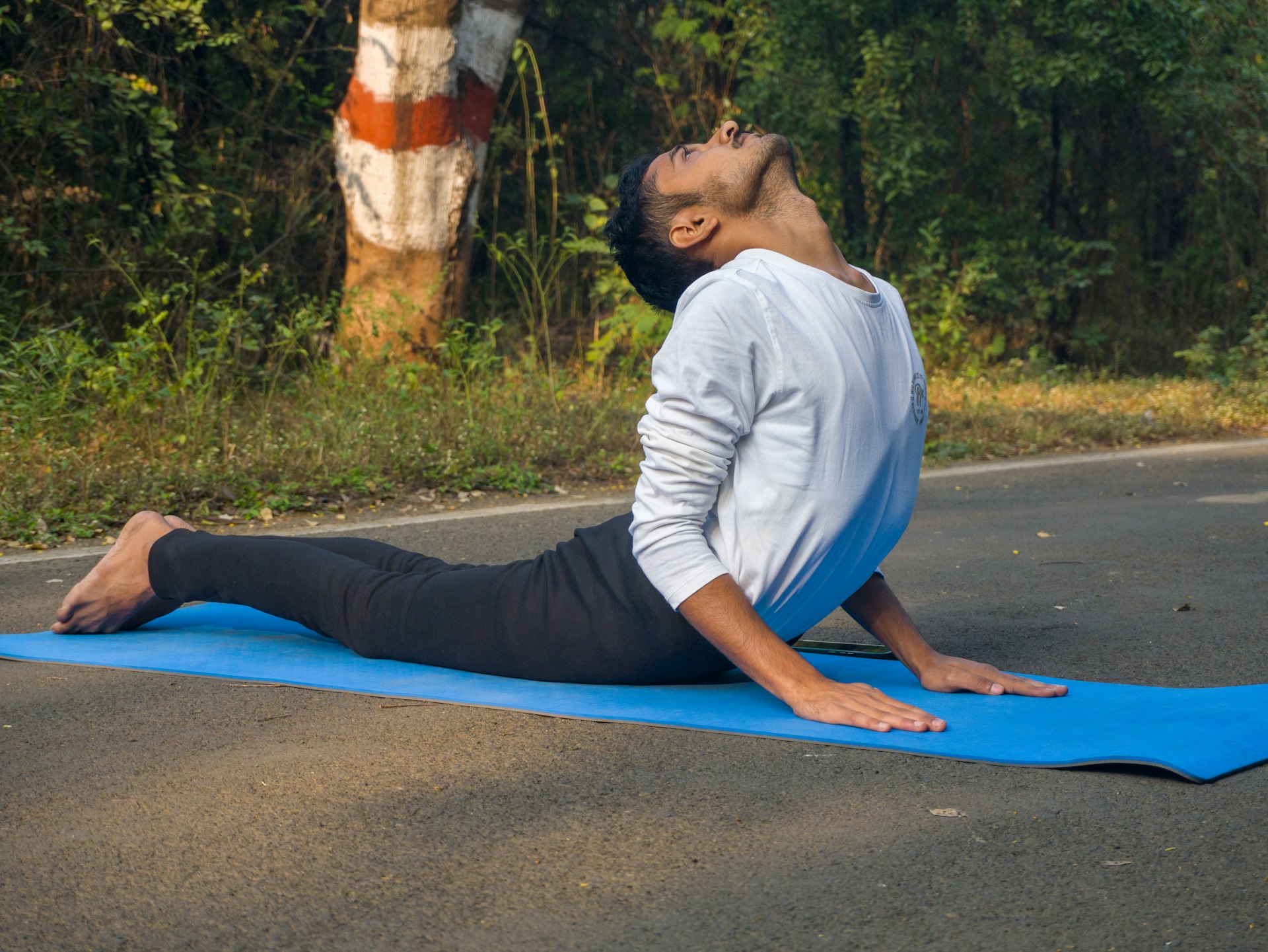 Transform Your Back: Yoga Sequences for Better Posture and Relief from Back Pain