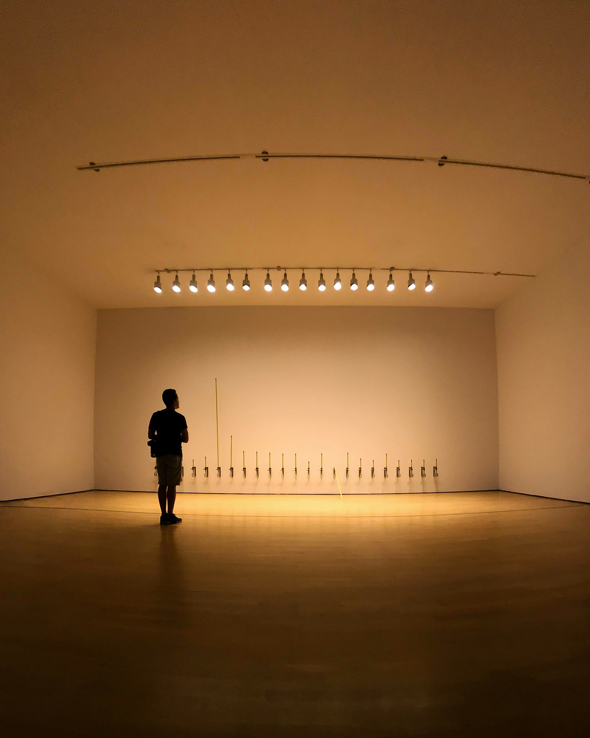 Immersive Experiences: Installation Art's Impact in Contemporary Museums