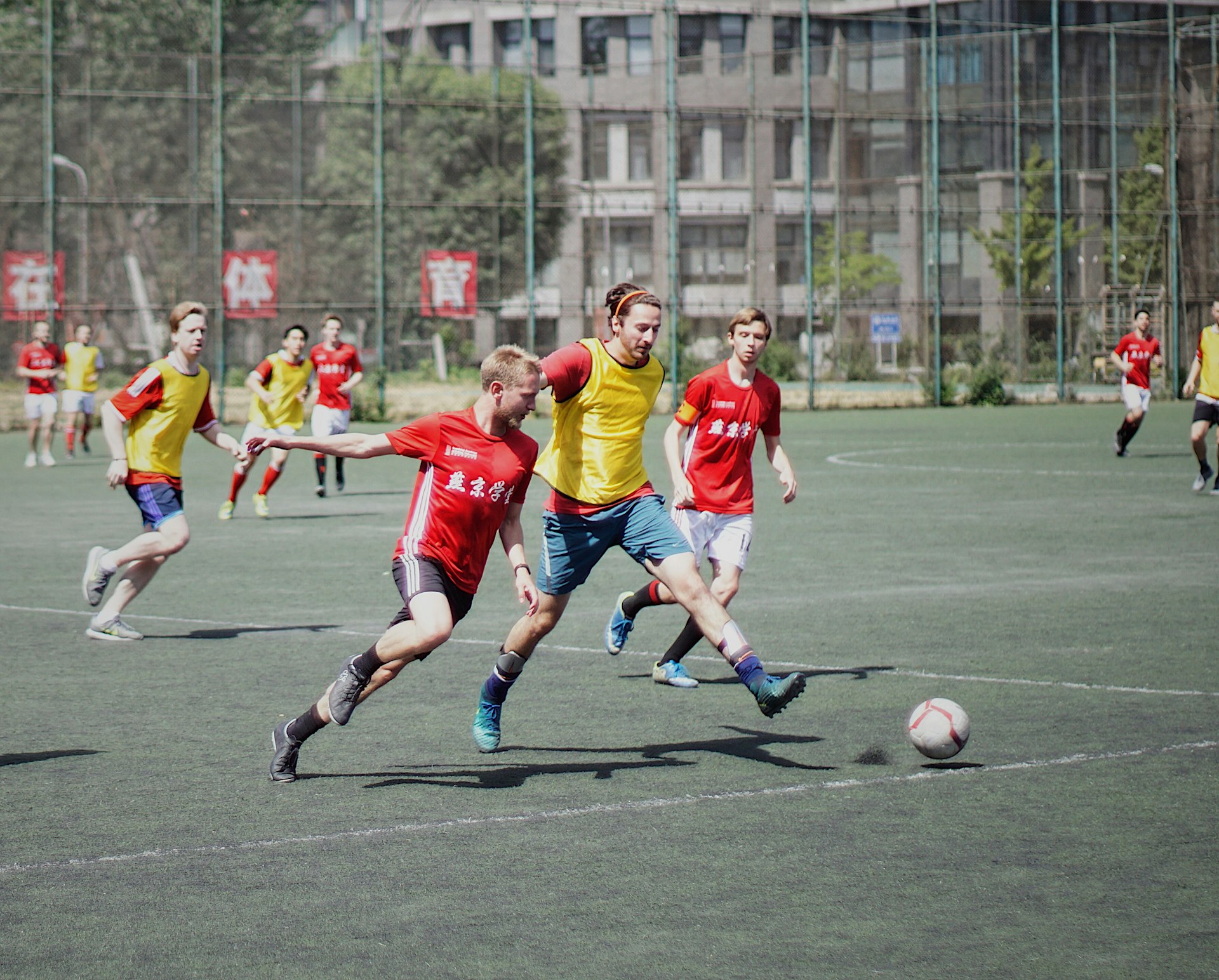 Exploring the Future of Mixed Gender Professional Leagues: Progress, Challenges, and Opportunities