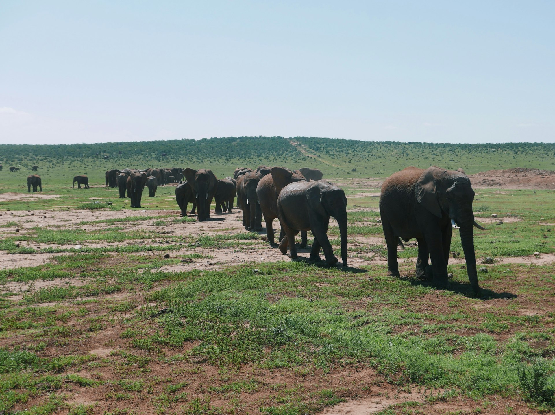 How to Join Wildlife Conservation Travel Programs: Your Complete Guide to Making a Real Impact