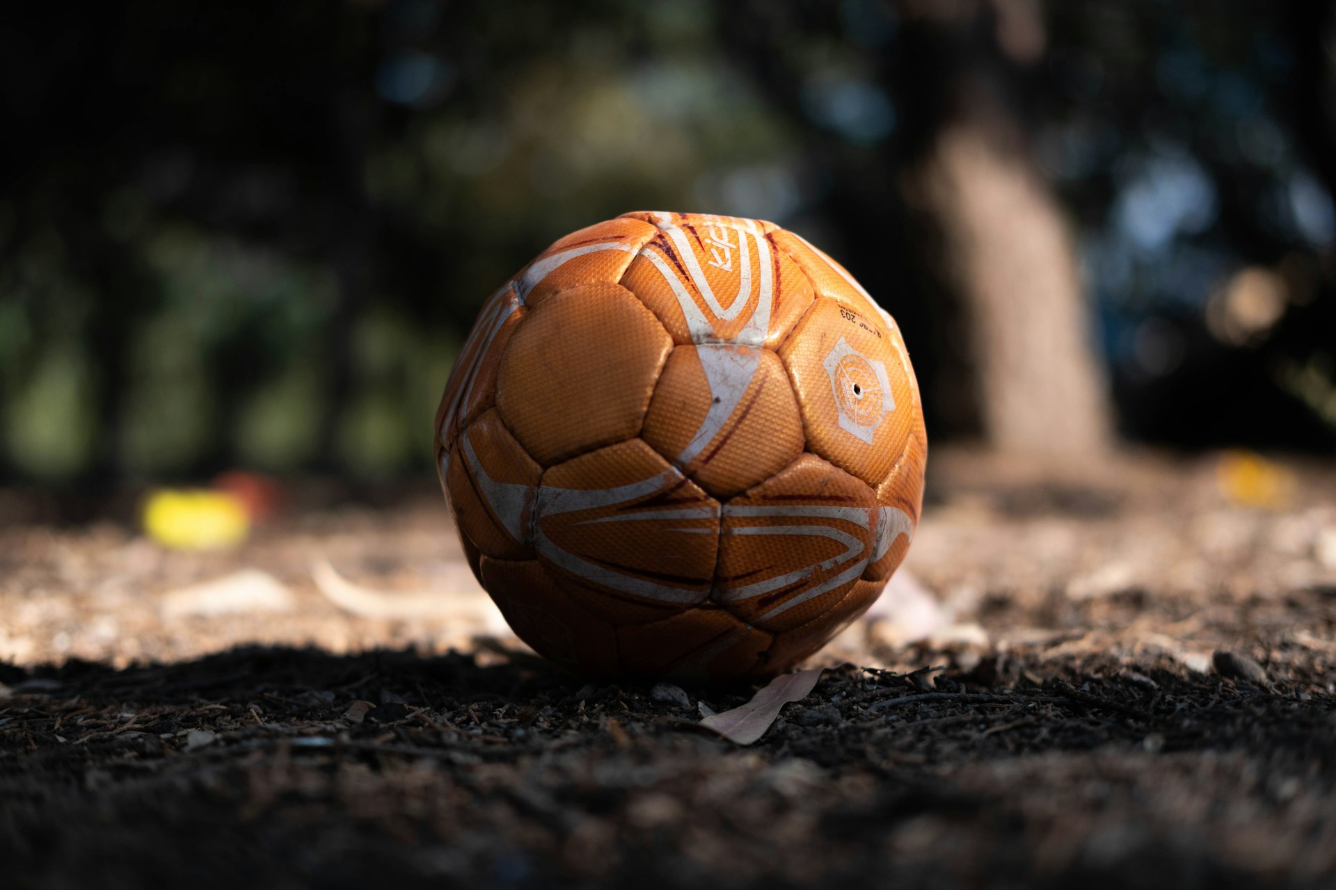 Emerging Trends Redefining the Fantasy Sports Platform Experience in 2025
