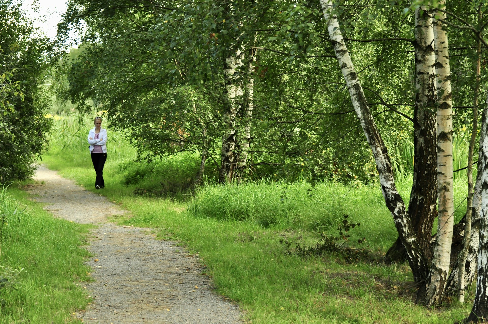 Unlocking the Wellness Benefits of Mindful Walking: Evidence, Application, and Step-by-Step Guidance